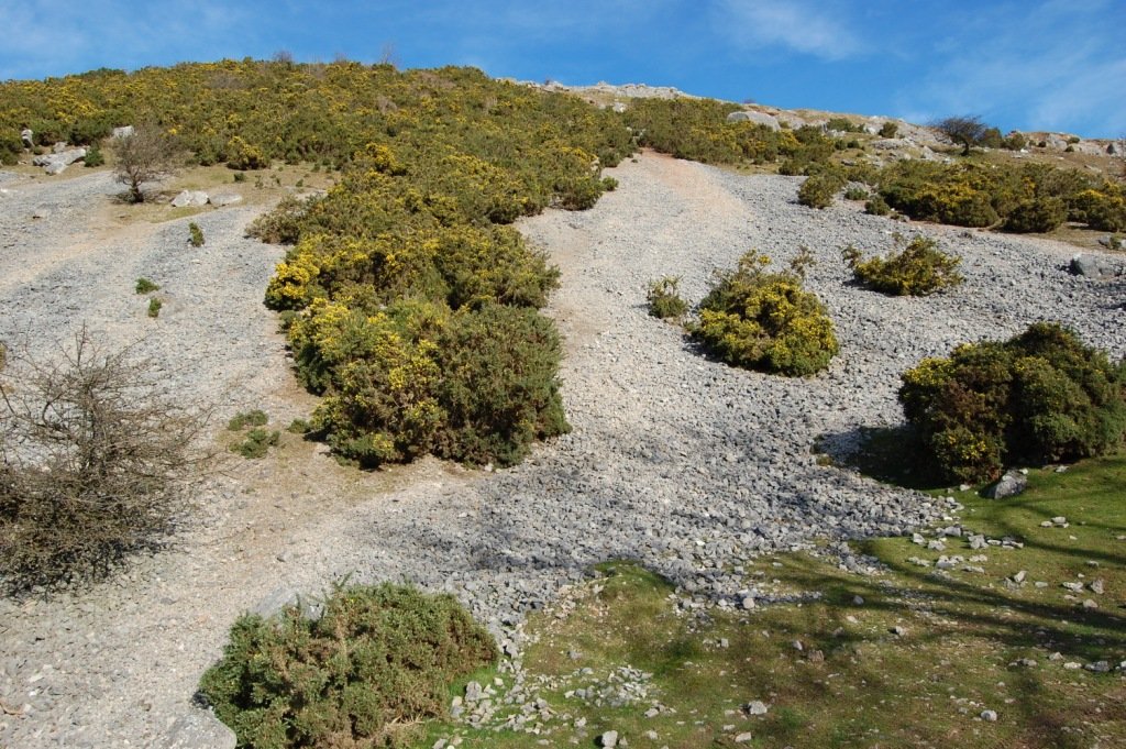 Incredible heather on the Eglwyseg mountains